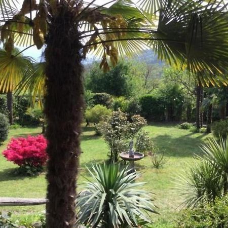 """Casa Elena -Tegna"" Die Ruheoase In Grossem Garten" Exteriör bild