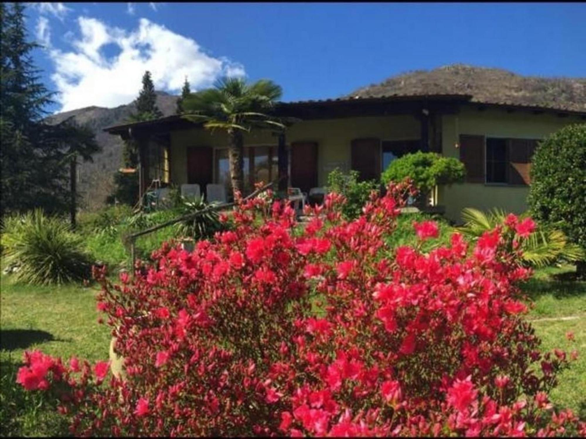 """Casa Elena -Tegna"" Die Ruheoase In Grossem Garten" Exteriör bild