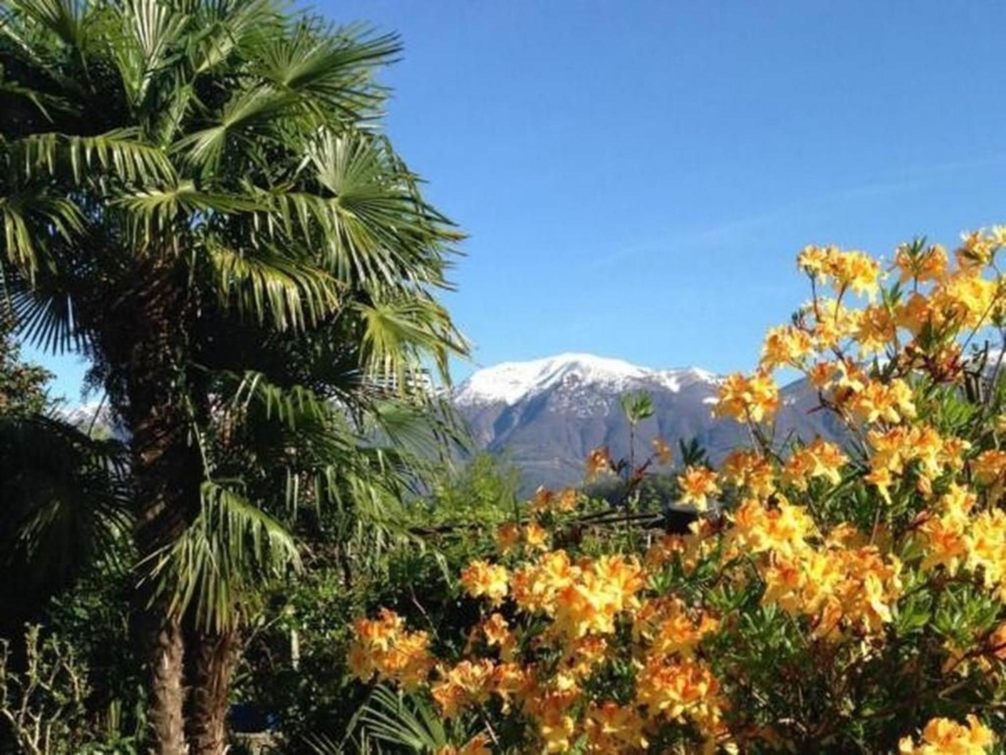 """Casa Elena -Tegna"" Die Ruheoase In Grossem Garten" Exteriör bild